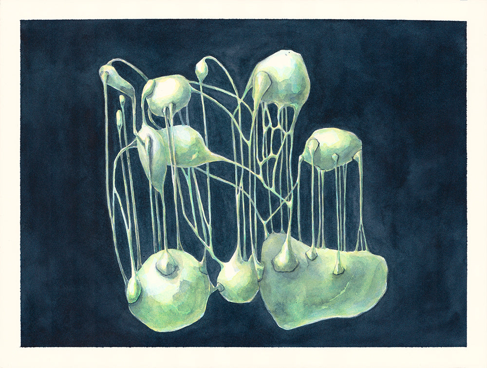 waterCOLOUR workshop - Gain confidence with colour and pigment in this intimate workshop