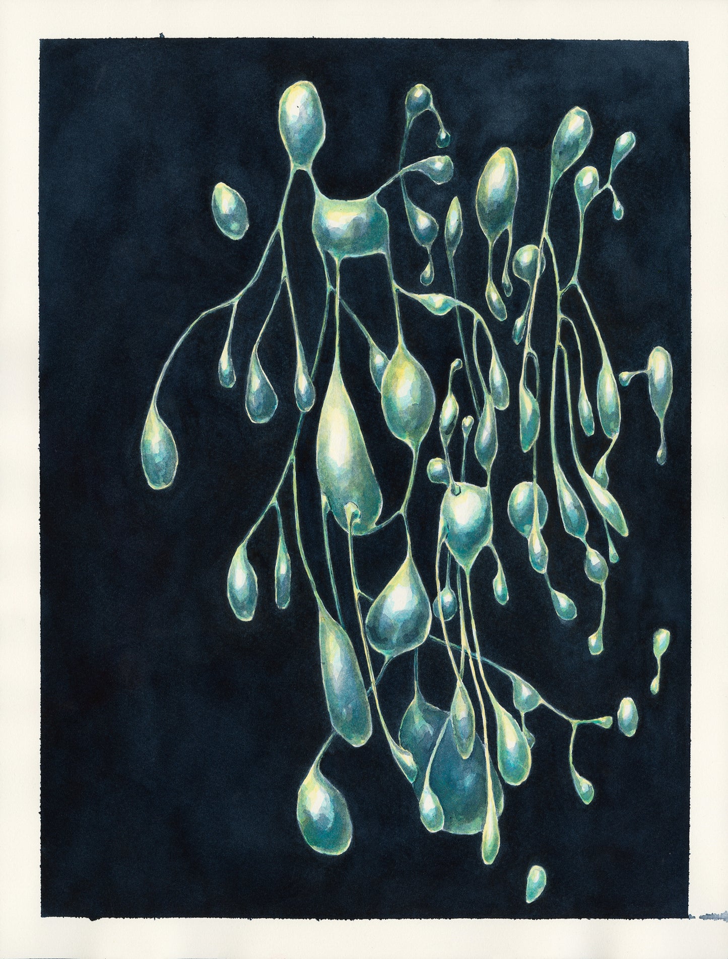 Proliferation