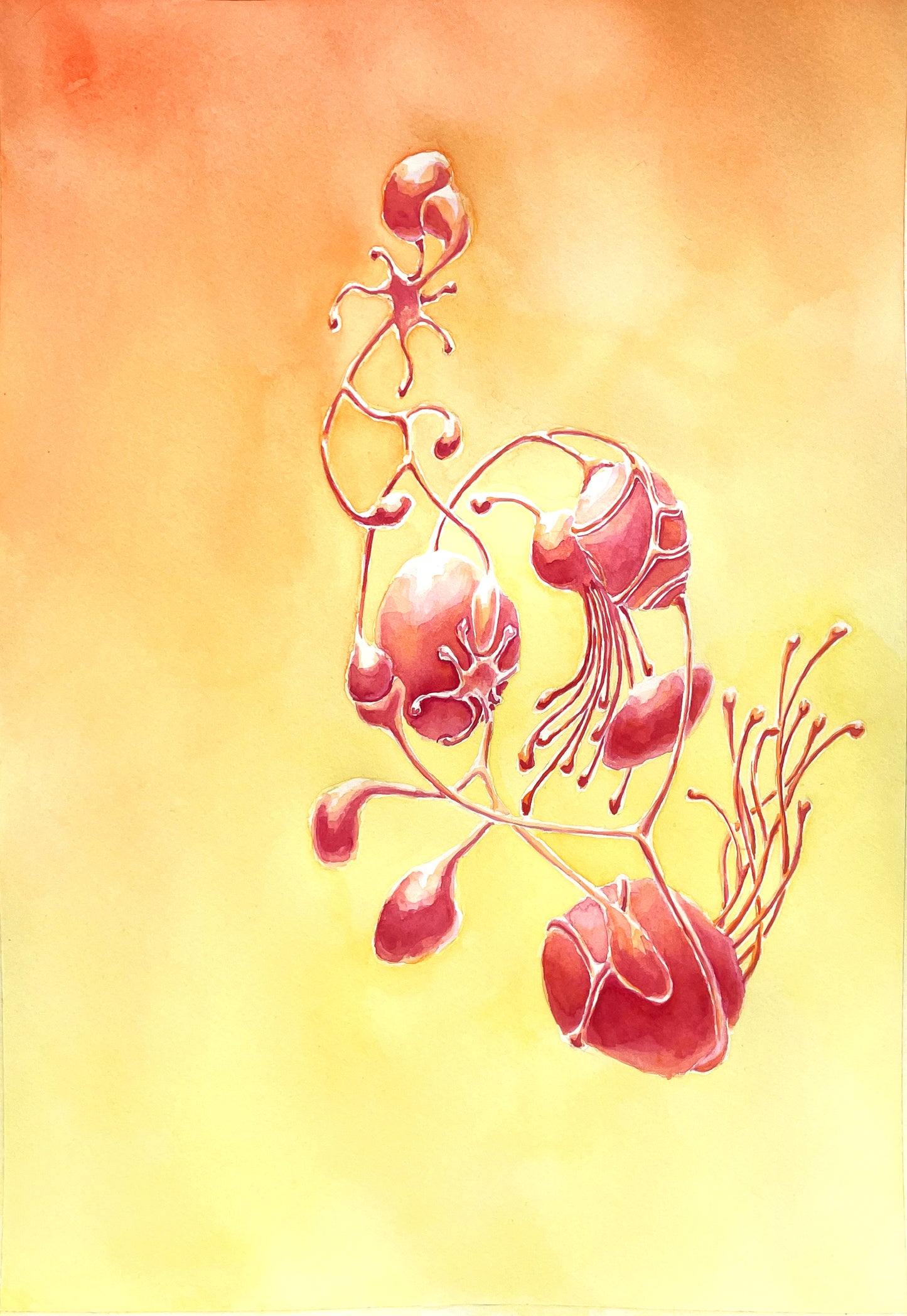 waterCOLOUR workshop - Gain confidence with colour and pigment in this intimate workshop